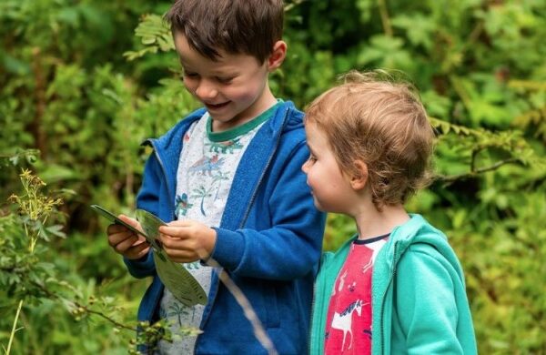 10 развлечений для детей, любящих дикую природу во время кемпинга