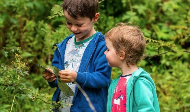 10 развлечений для детей, любящих дикую природу во время кемпинга