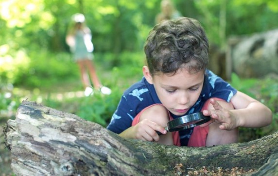 Поиск мелких насекомых – лучшие советы по поиску жуков